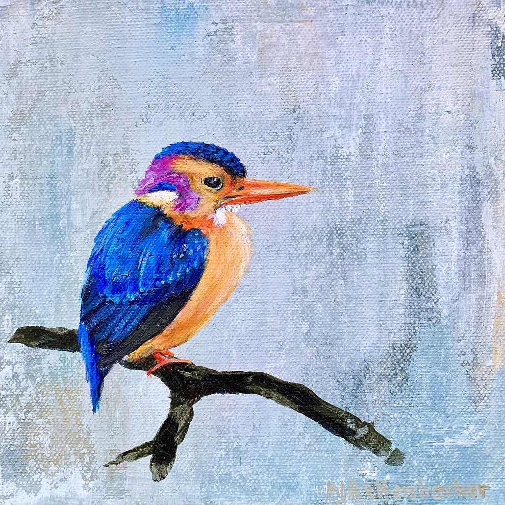 Pygmy Kingfisher